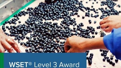 WSET Level 3 Award in Wines  